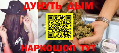 тгк Кингисепп