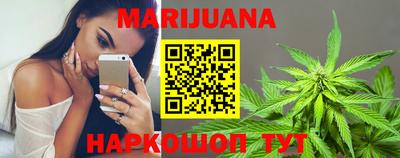 тгк Кингисепп