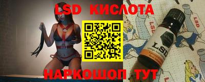 тгк Кингисепп