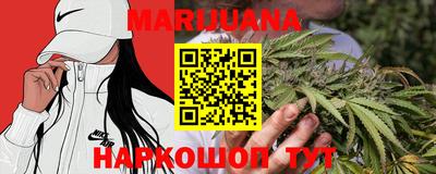 тгк Кингисепп