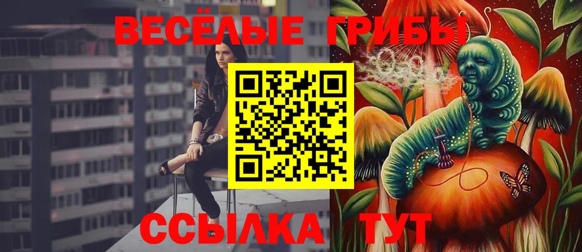 Псилоцибиновые грибы GOLDEN TEACHER Кудымкар