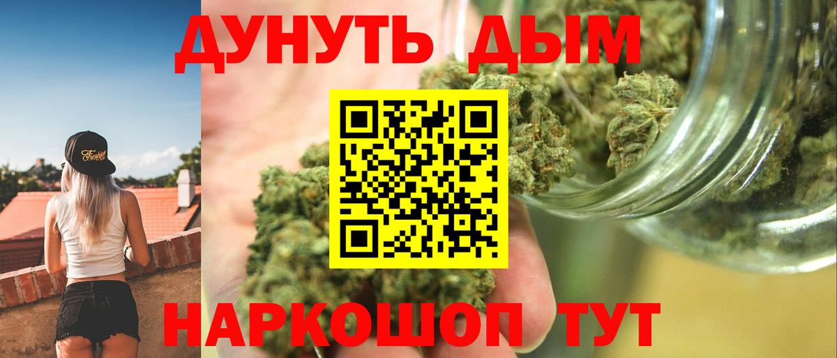 Конопля гибрид Кудымкар